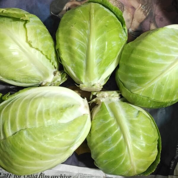 Desi CABBAGE (patta gobhi)