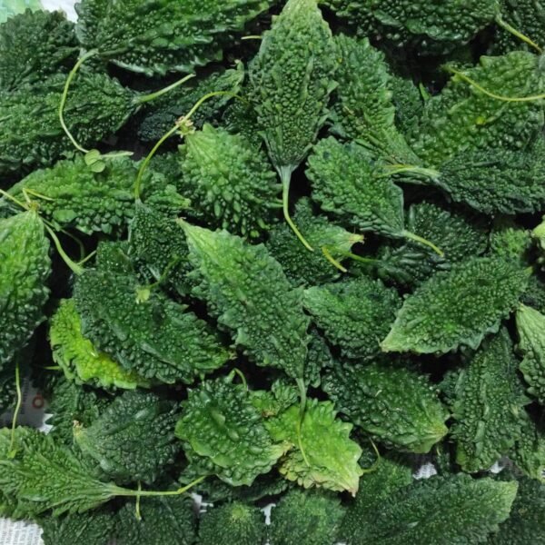 Desi Bitter Gourd (Karela)