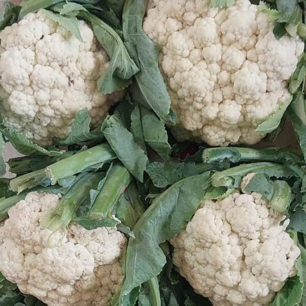 Desi Cauliflower (Phool gobhi)