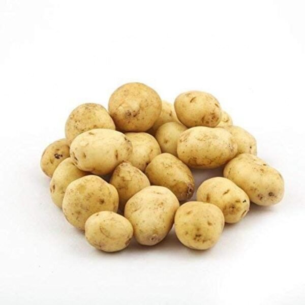 Premium potato (medium size)