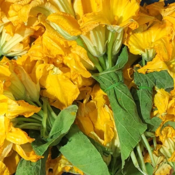 pumpkin flower(kadu ful)