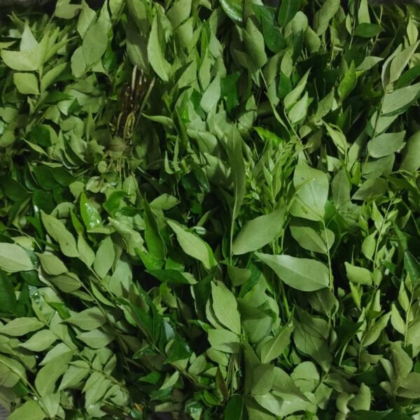 Curry Leaves (Kadi Patta)
