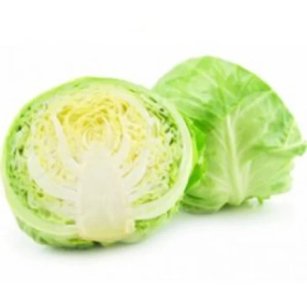 CABBAGE (patta gobhi)