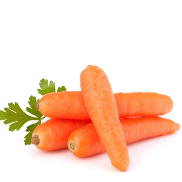 Carrot (orange color Gajar)