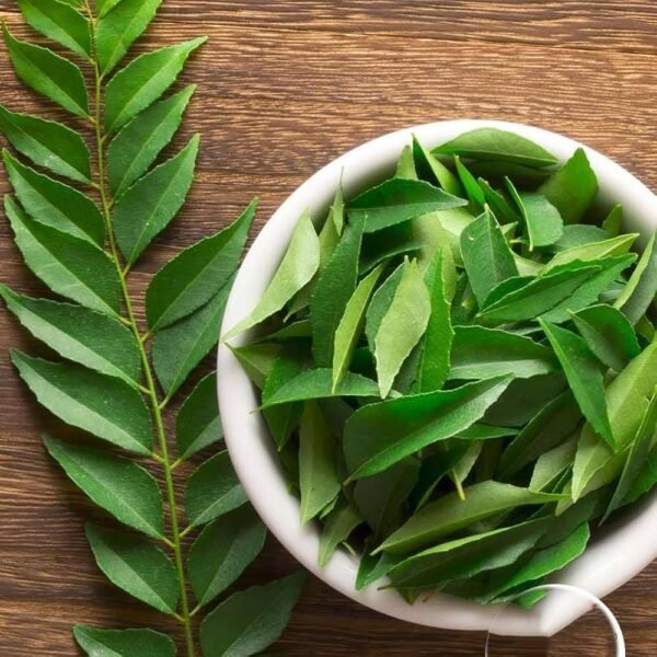Curry Leaves (Kadi Patta)