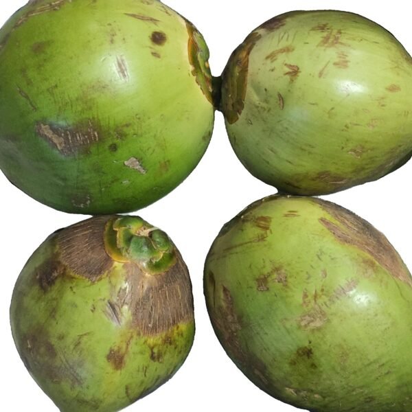 Best Tender Coconut (210ml +)