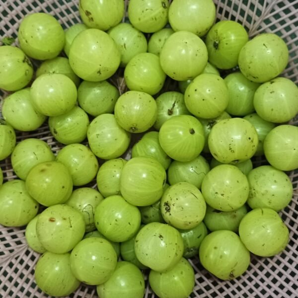 Gooseberry (Awla)