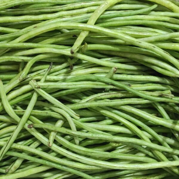 Desi Cowpea Beans (Barbatti)