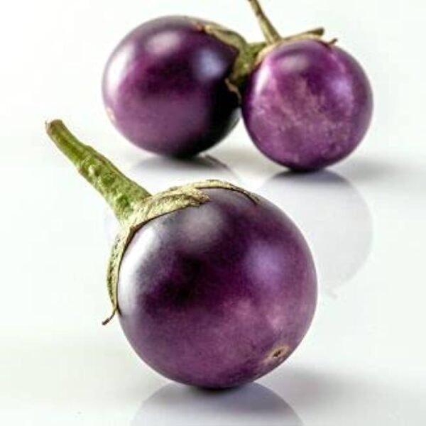 Brinjal purple Round( baigan gol)