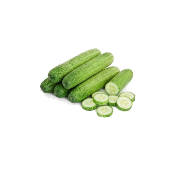 Cucumber green (kheera)