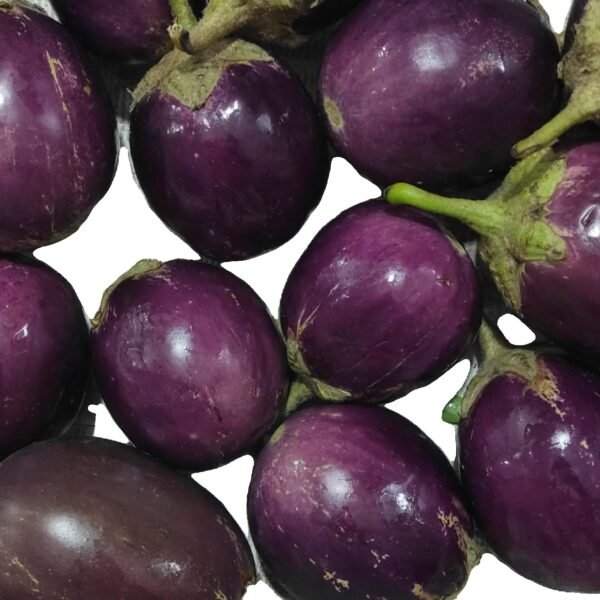 Desi Brinjal purple Round( baigan gol)