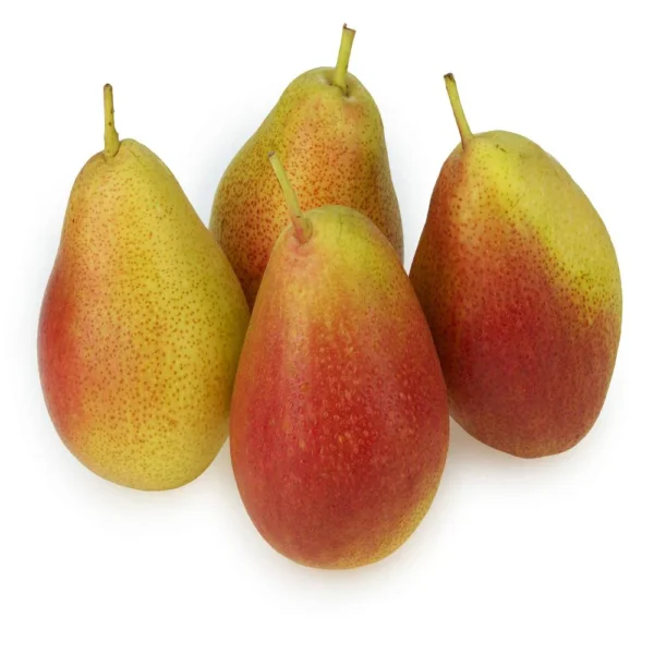 Red Green Pears