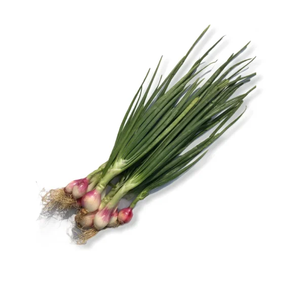 Onion Spinach(Pyaj Saag)