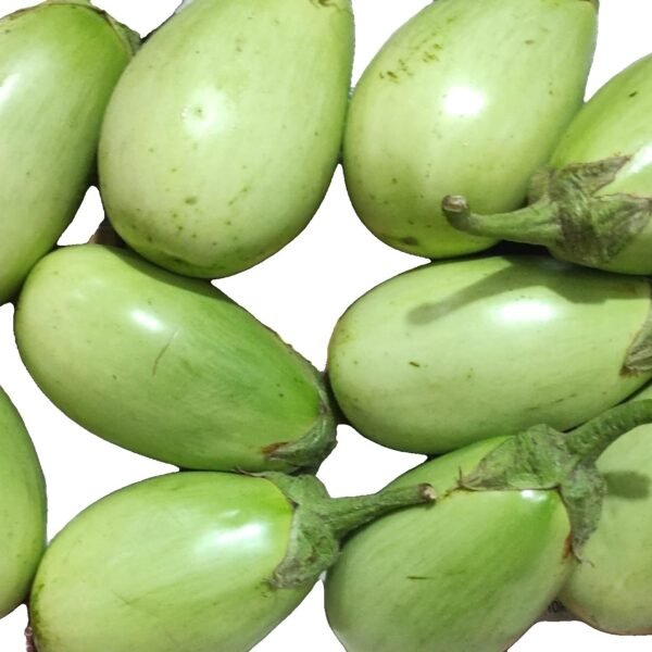 Desi Brinjal Green ( baigan gol)