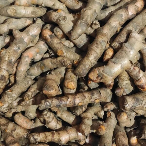 Raw Turmeric (Kachi Haldi)