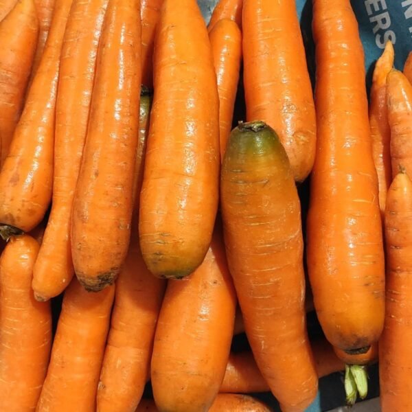 Carrot (gajar)