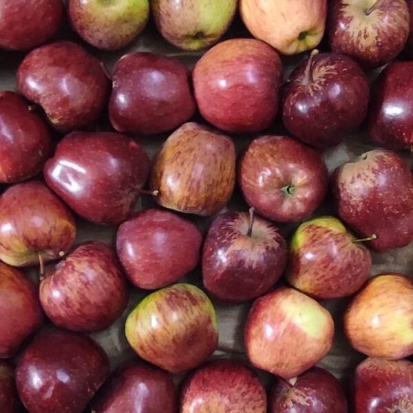 Premium Kinnaur Apple