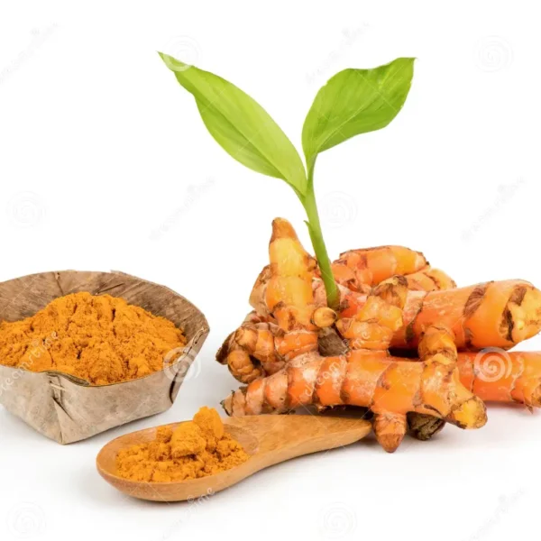 Raw Turmeric (Kachi Haldi)