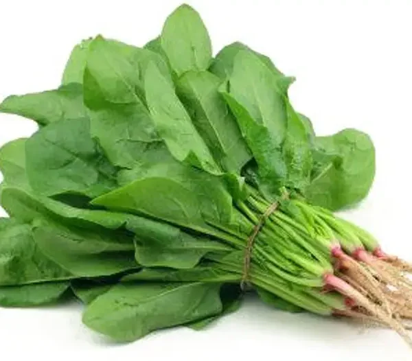 Spinach (Palak)
