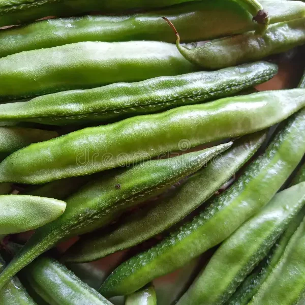 Semi (long with seed)