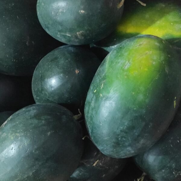 Local watermelon( Tarbuj)