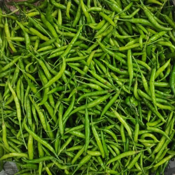 Green Chilli ( Hara Mirch)