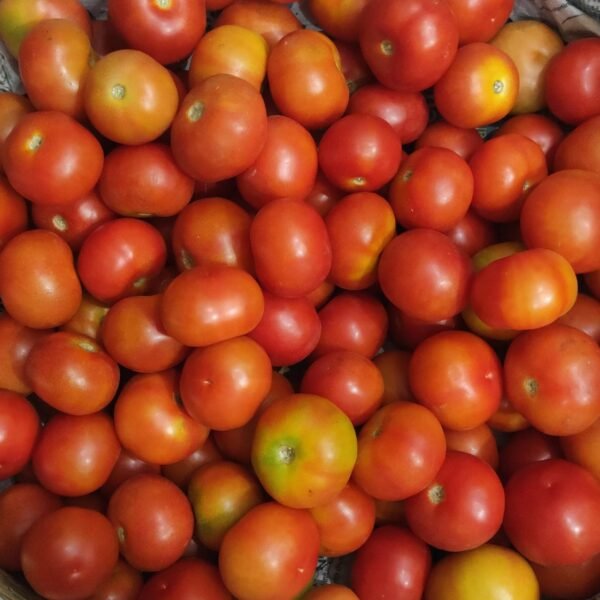 Desi Tomato(Tamater)