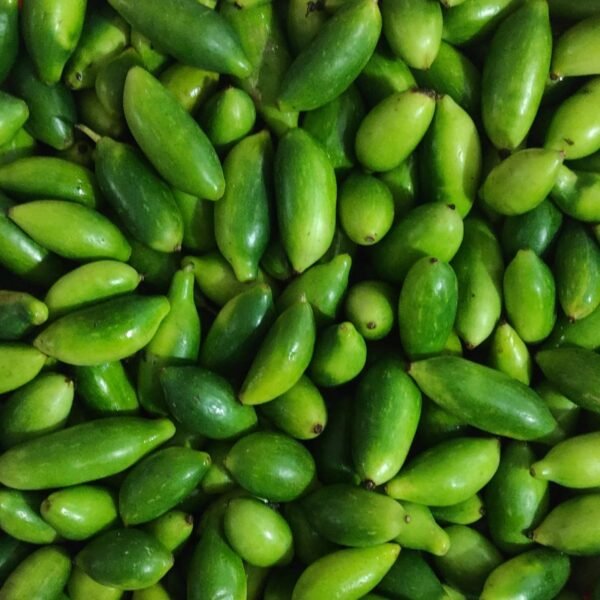 Desi Ivy Gourd (Kundru)