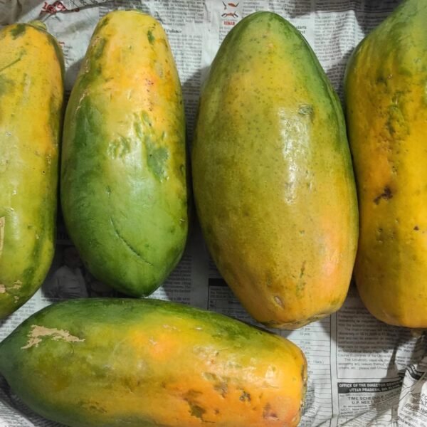 Ripe papaya(100% replacement if rotten inside)