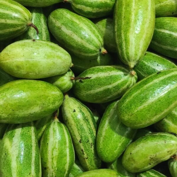 Desi Pointed gourd (Parwal)