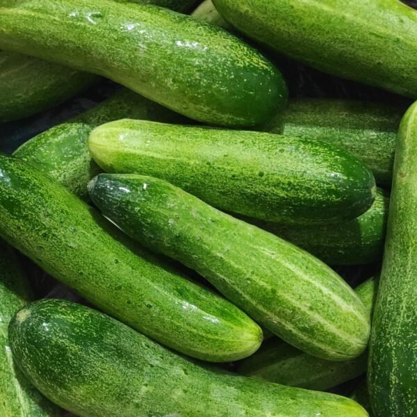 Green cucumber