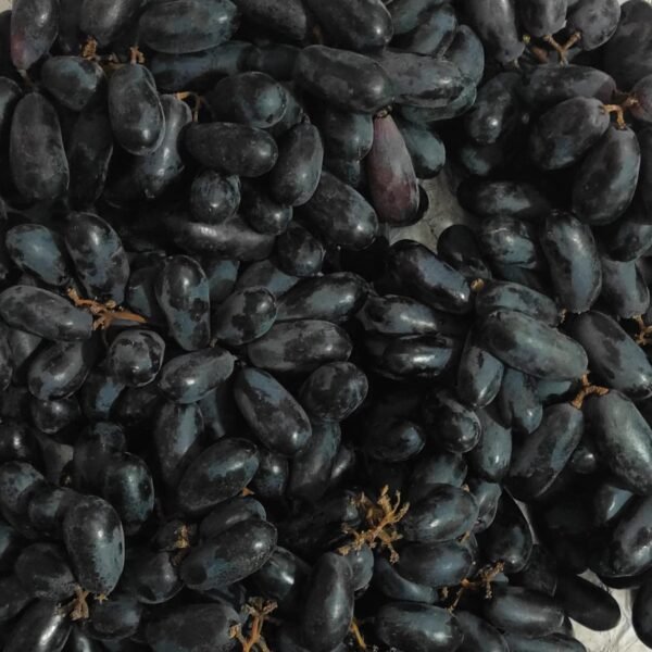 Black Grapes