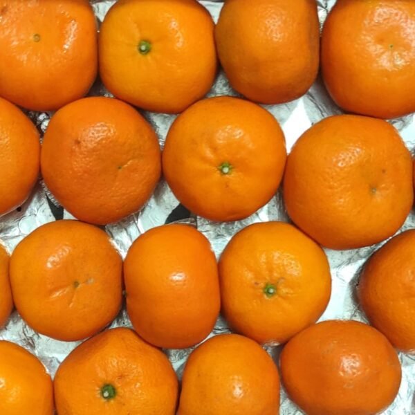 Orange - Mandarin