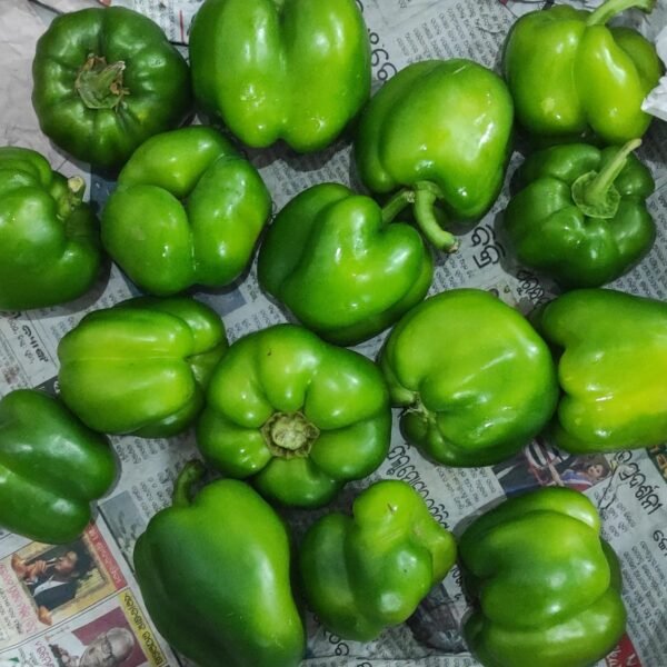 Capsicum (Simla mirch)