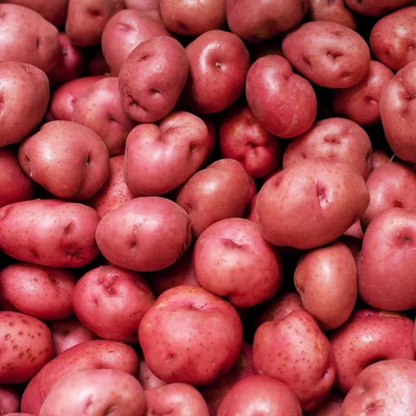 Red Potato(Lal Aloo)