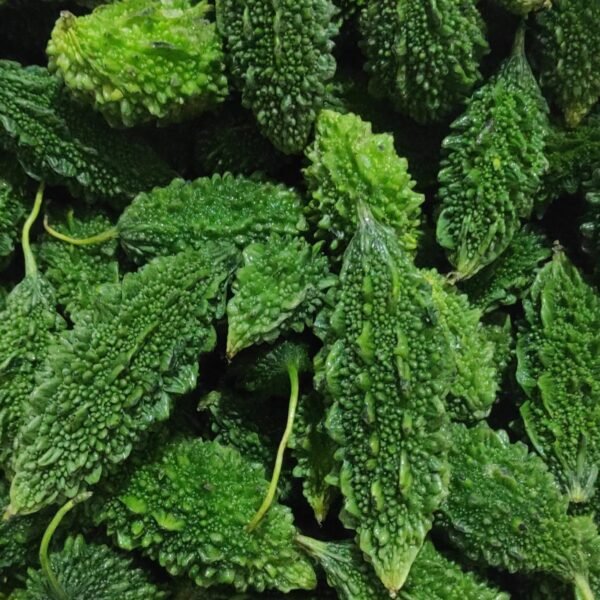 Desi bitter gourd (medium karela)