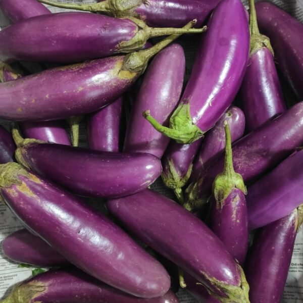 Desi Brinjal long purple( baigan long)