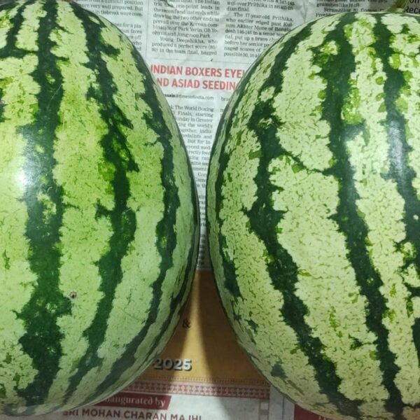 Local strip watermelon