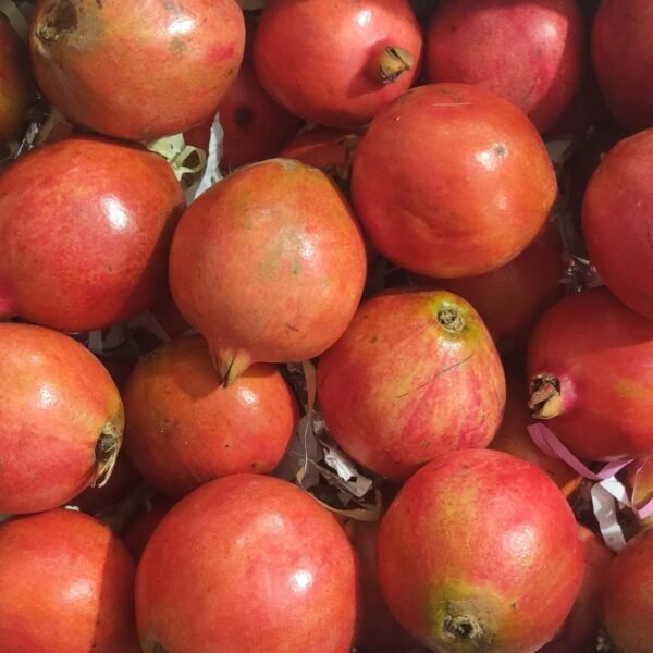 Big Pomegranate(Anar)
