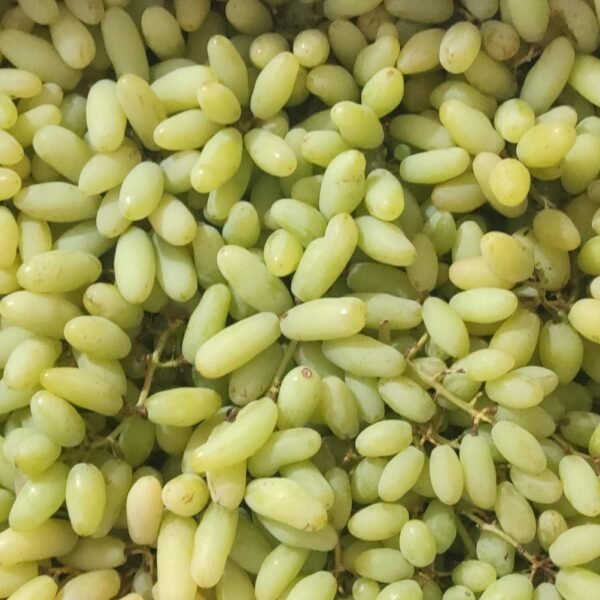 Green Grapes (Long Size)