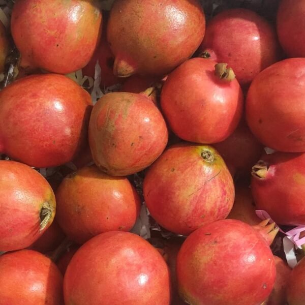 pomegranate(medium size)