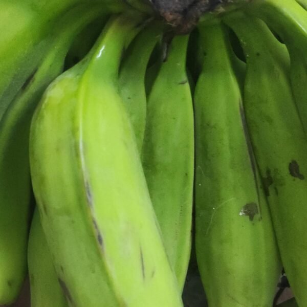 Raw Banana Thick(kacha kela)