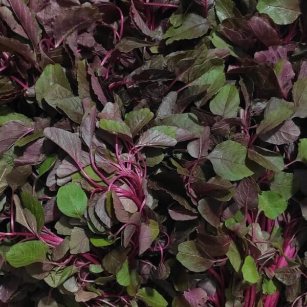 Red Spinach (Lal Saag)
