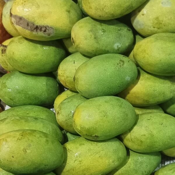 Dashari mango