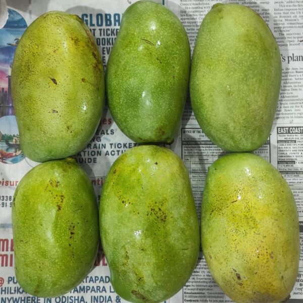 Himgiri Mango