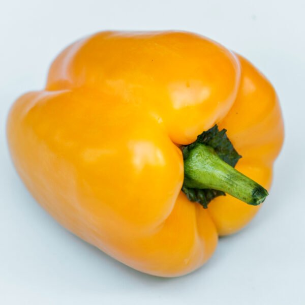 Yellow capsicum(pila shimla mirch)